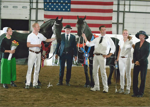 Wim Cazenier Equine Center LLC
